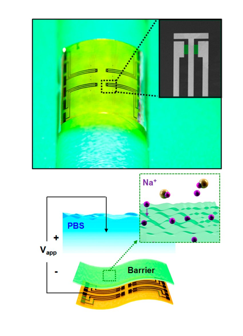 Cover image for Ultrathin Trilayer Assemblies